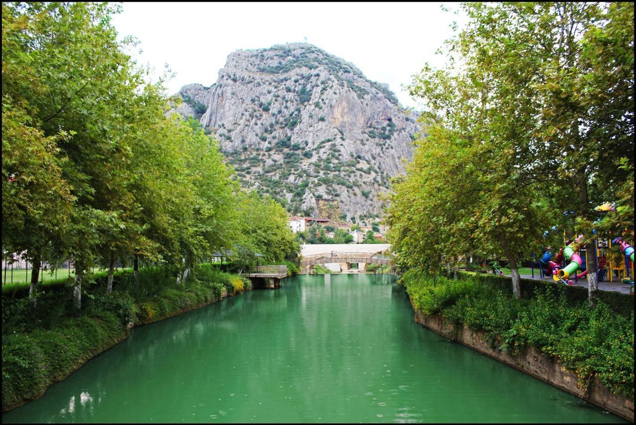 ADANA KOZAN TEKERLEKLİ SANDALYE