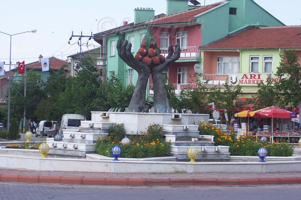 AFYONKARAHİSAR ÇAY TEKERLEKLİ SANDALYE