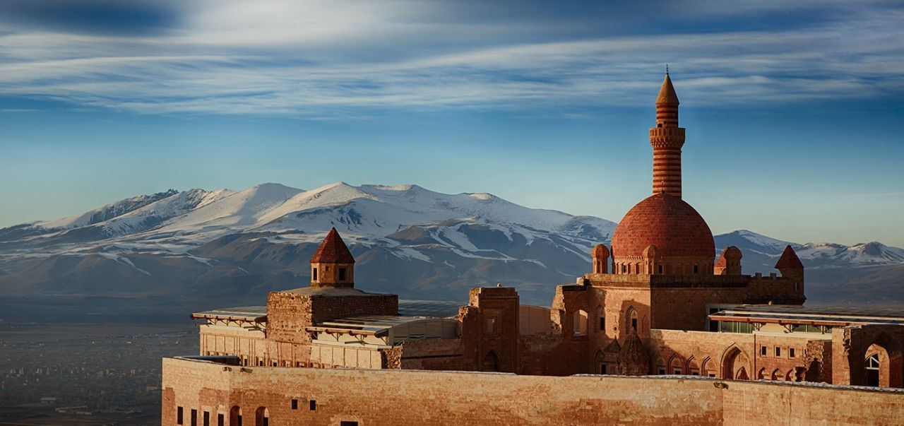 AĞRI TEKERLEKLİ SANDALYE