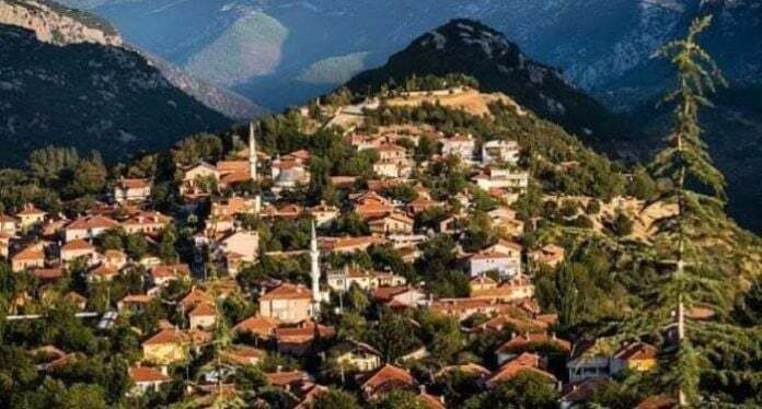 ANTALYA İBRADI TEKERLEKLİ SANDALYE