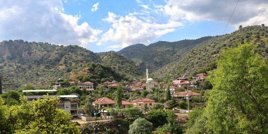 AYDIN KÖŞK TEKERLEKLİ SANDALYE