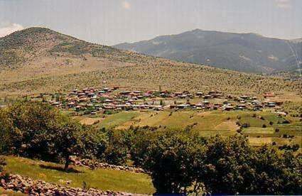 BOLU KIBRISCIK TEKERLEKLİ SANDALYE