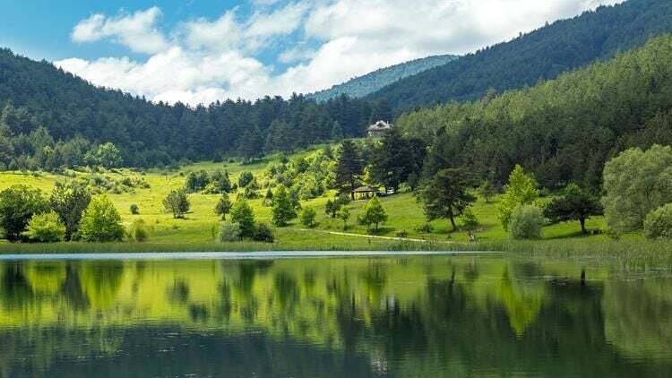 BOLU TEKERLEKLİ SANDALYE