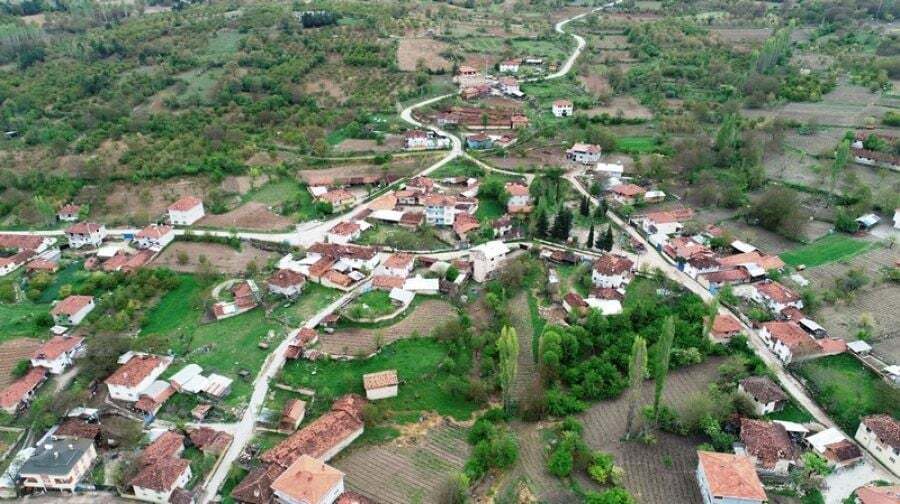 BURSA KELES TEKERLEKLİ SANDALYE