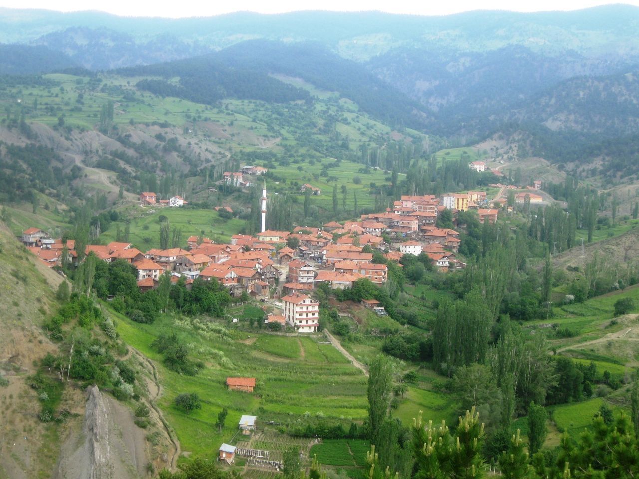 ÇORUM BAYAT TEKERLEKLİ SANDALYE