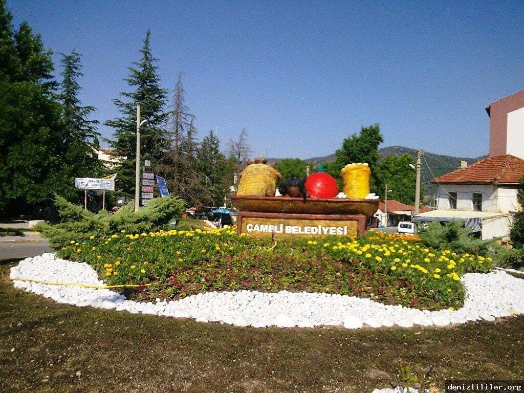 DENİZLİ ÇAMELİ TEKERLEKLİ SANDALYE