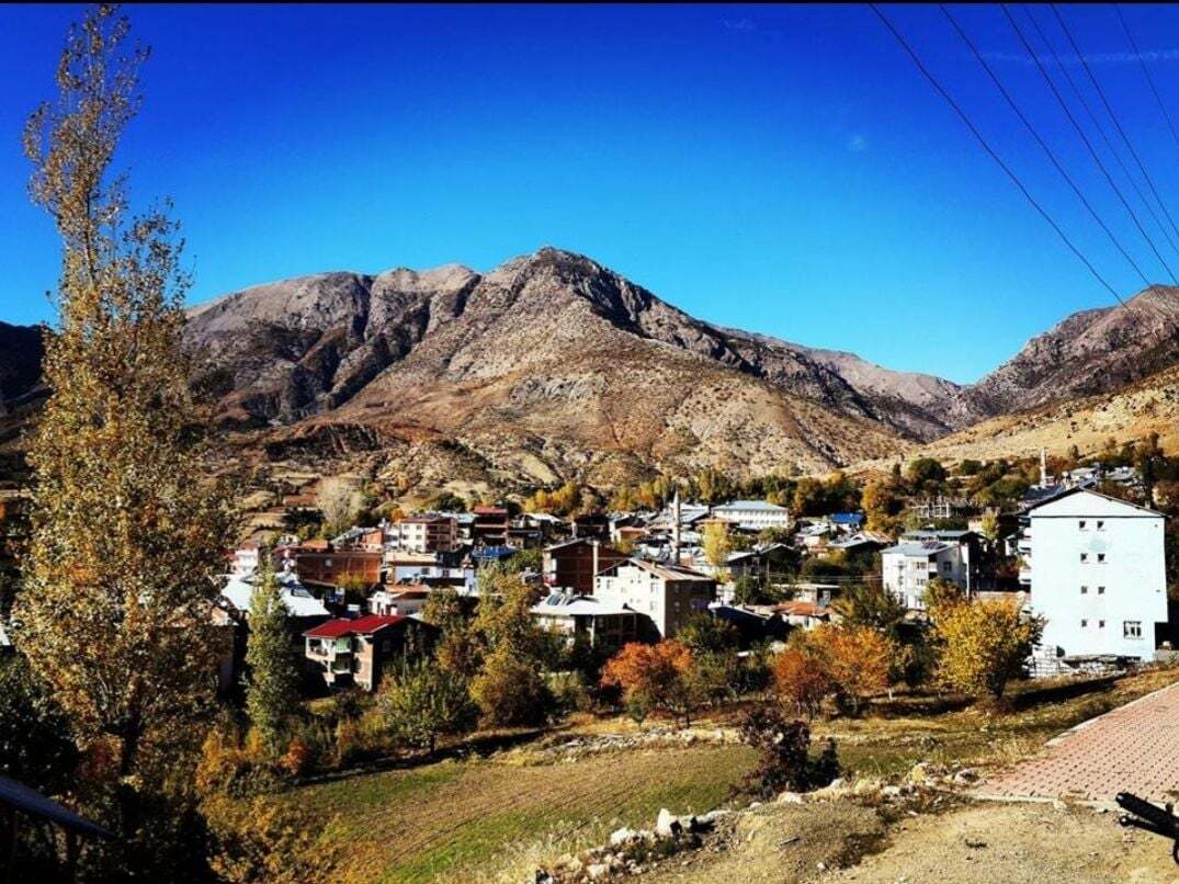 ELAZIĞ ARICAK TEKERLEKLİ SANDALYE