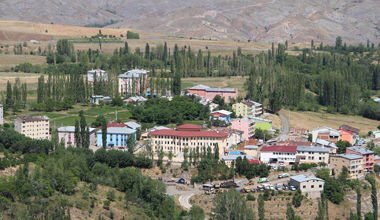 ERZURUM PAZARYOLU TEKERLEKLİ SANDALYE