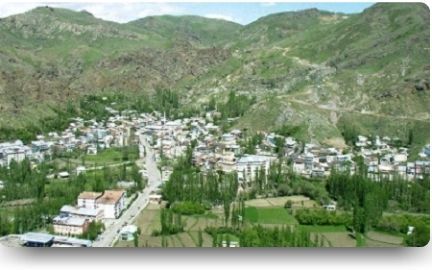 ERZURUM TORTUM TEKERLEKLİ SANDALYE