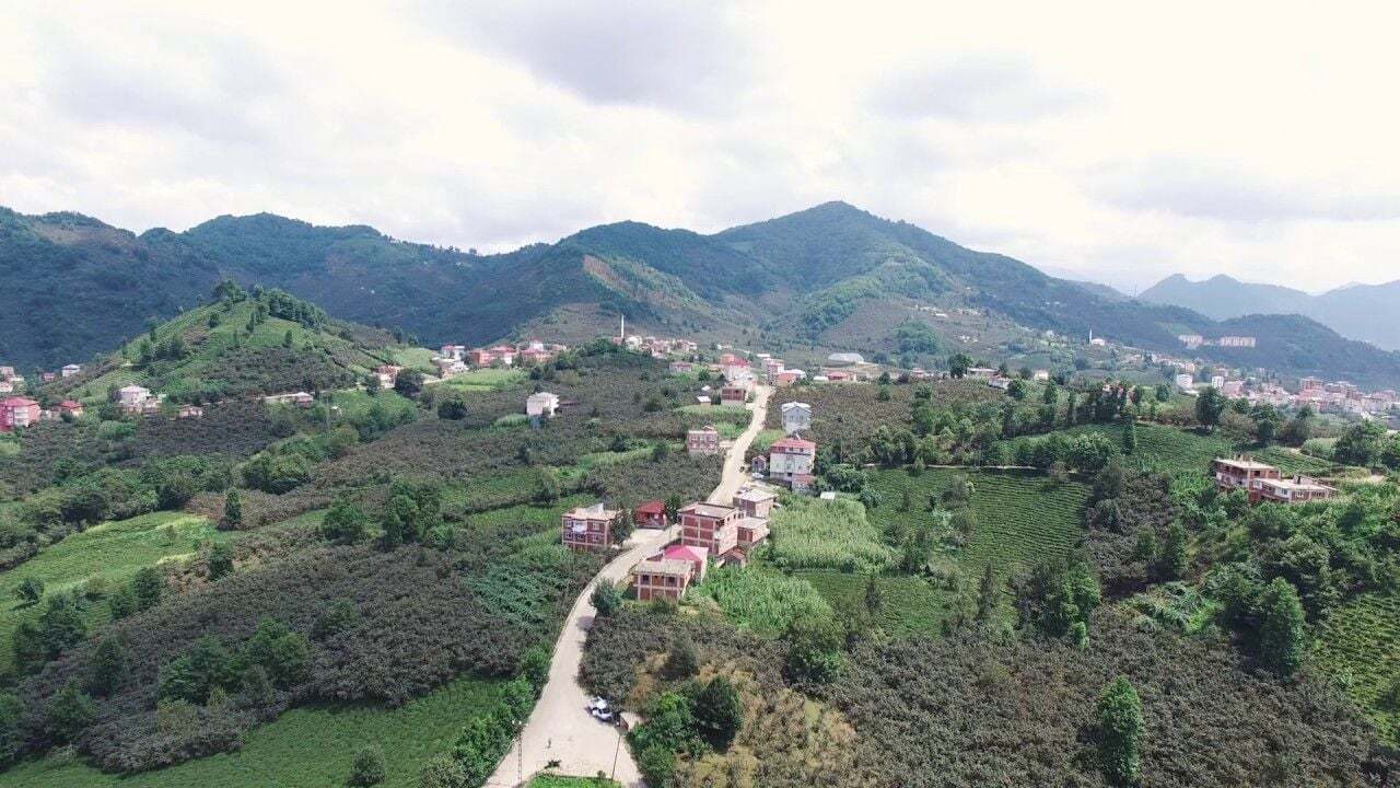 GİRESUN GÜCE TEKERLEKLİ SANDALYE