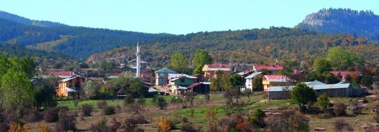 KASTAMONU AĞLI TEKERLEKLİ SANDALYE