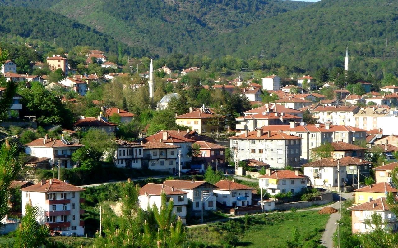 KASTAMONU ARAÇ TEKERLEKLİ SANDALYE