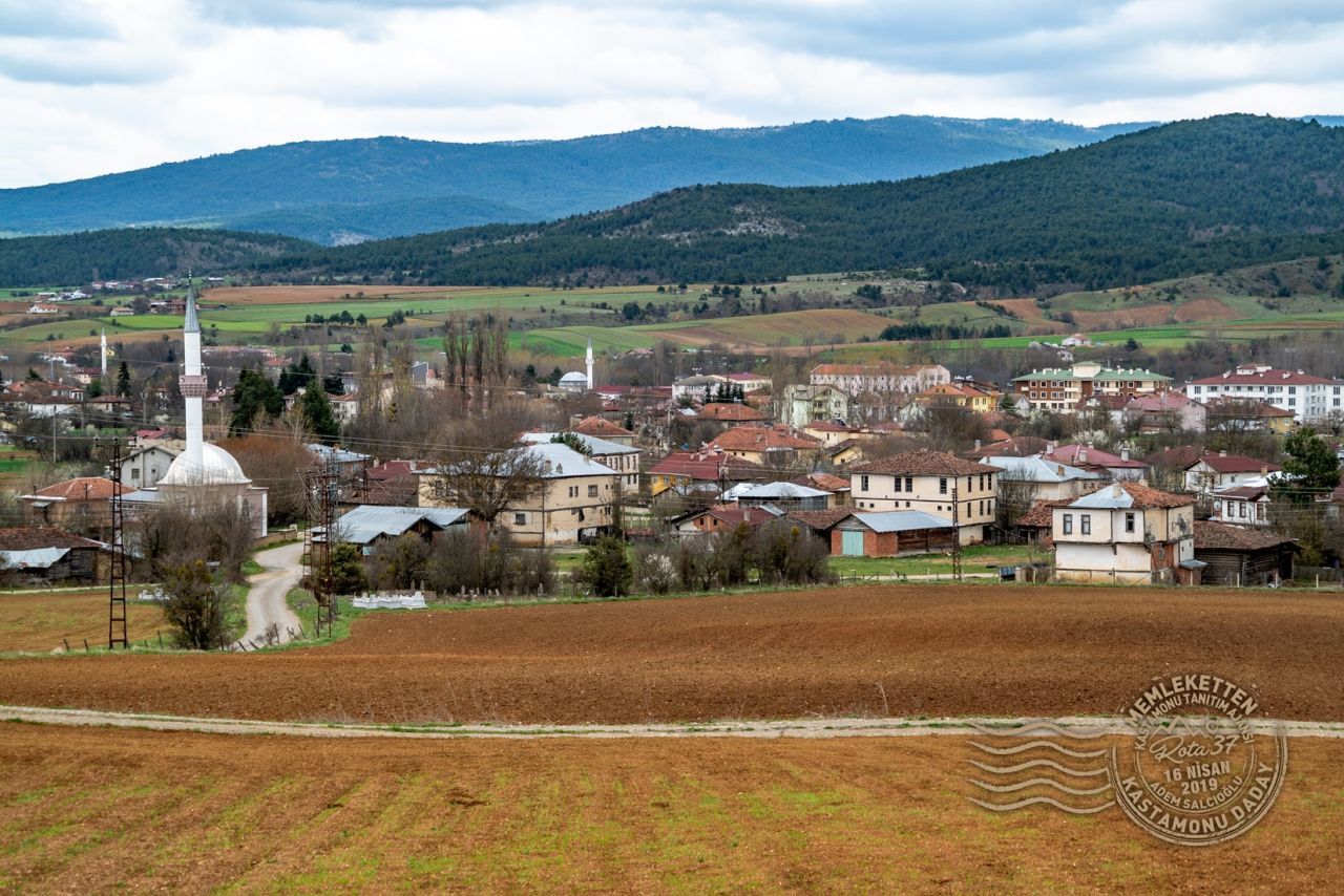 KASTAMONU DADAY TEKERLEKLİ SANDALYE