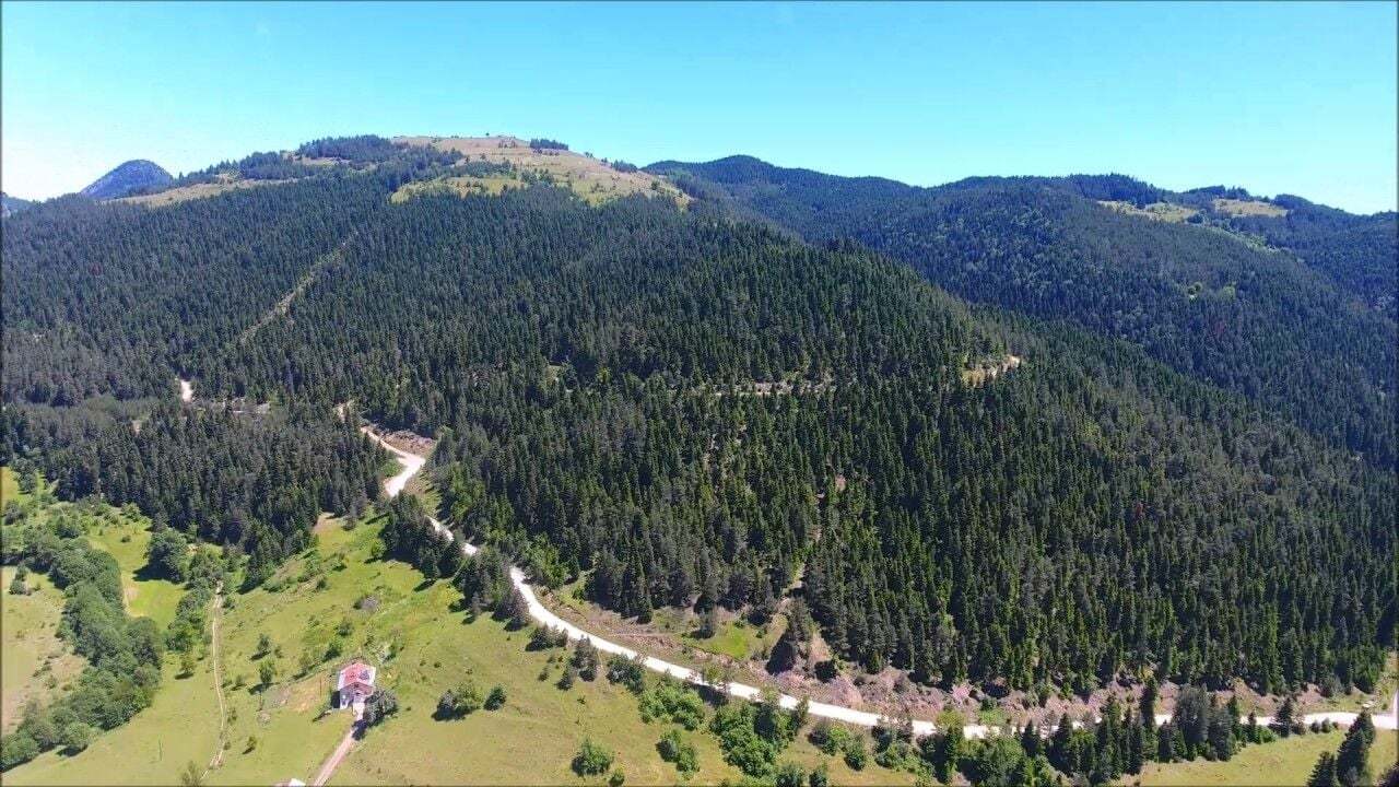 KASTAMONU KÜRE TEKERLEKLİ SANDALYE