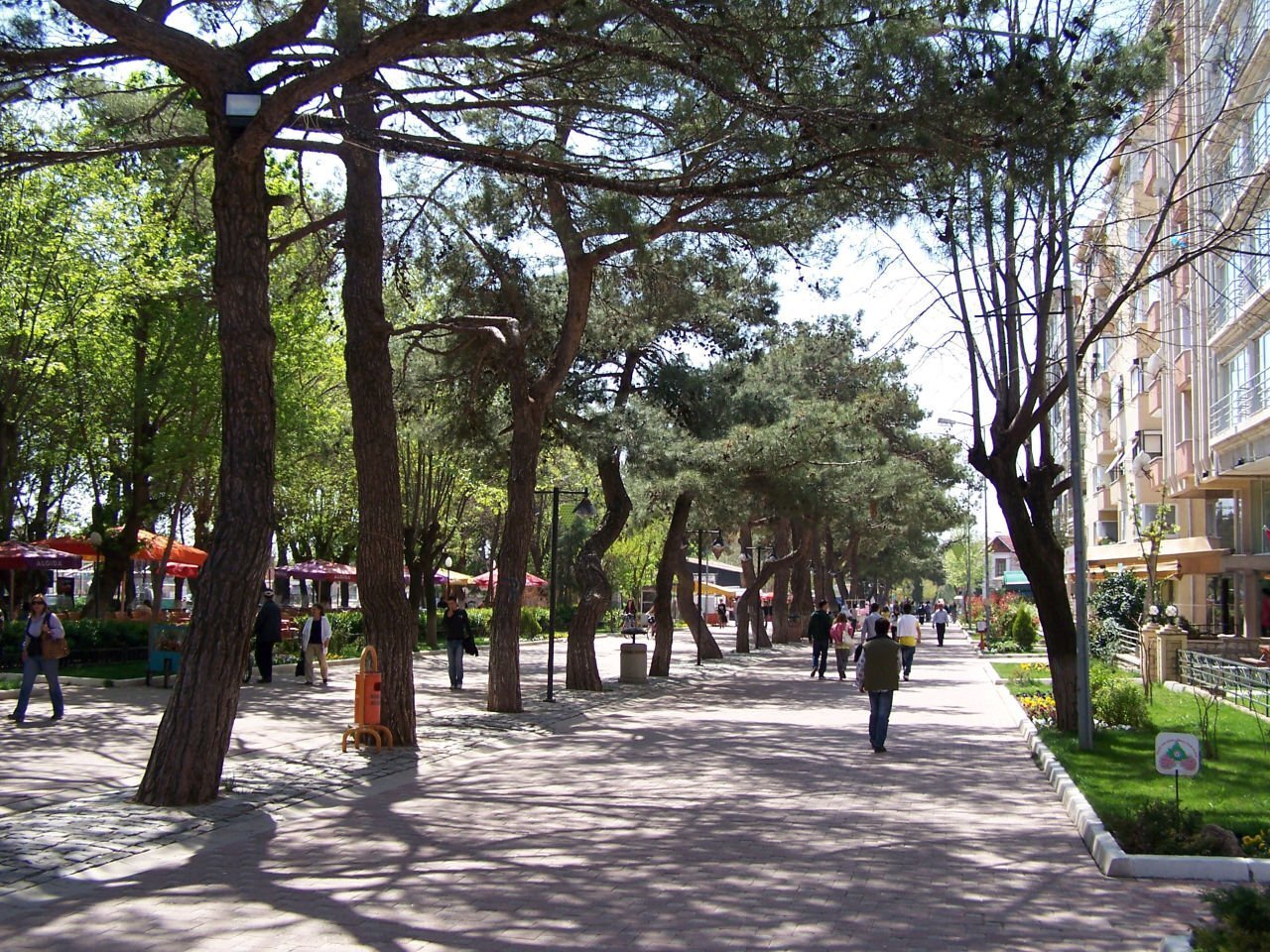 KIRKLARELİ TEKERLEKLİ SANDALYE