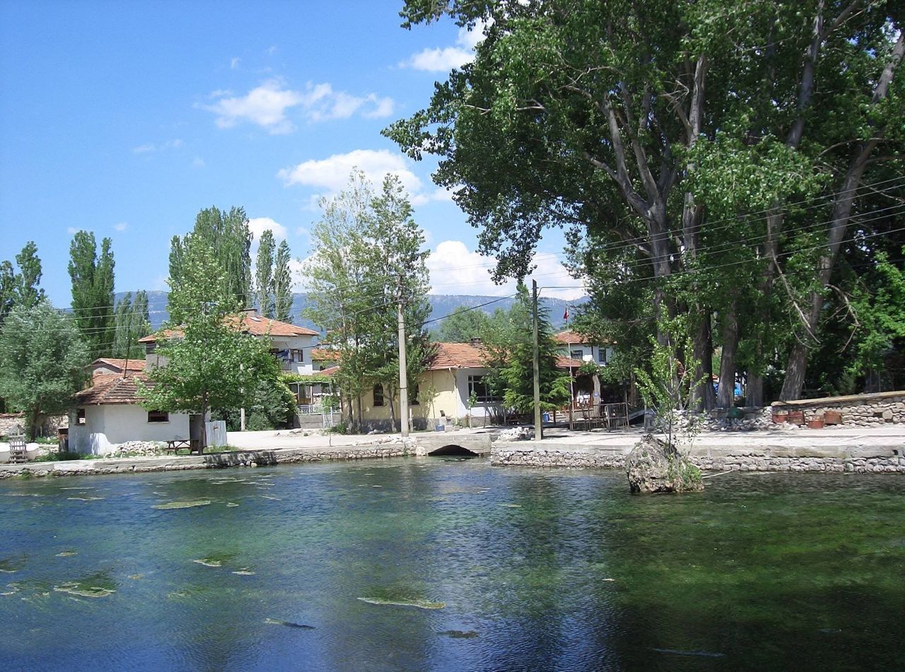 KÜTAHYA DOMANİÇ TEKERLEKLİ SANDALYE