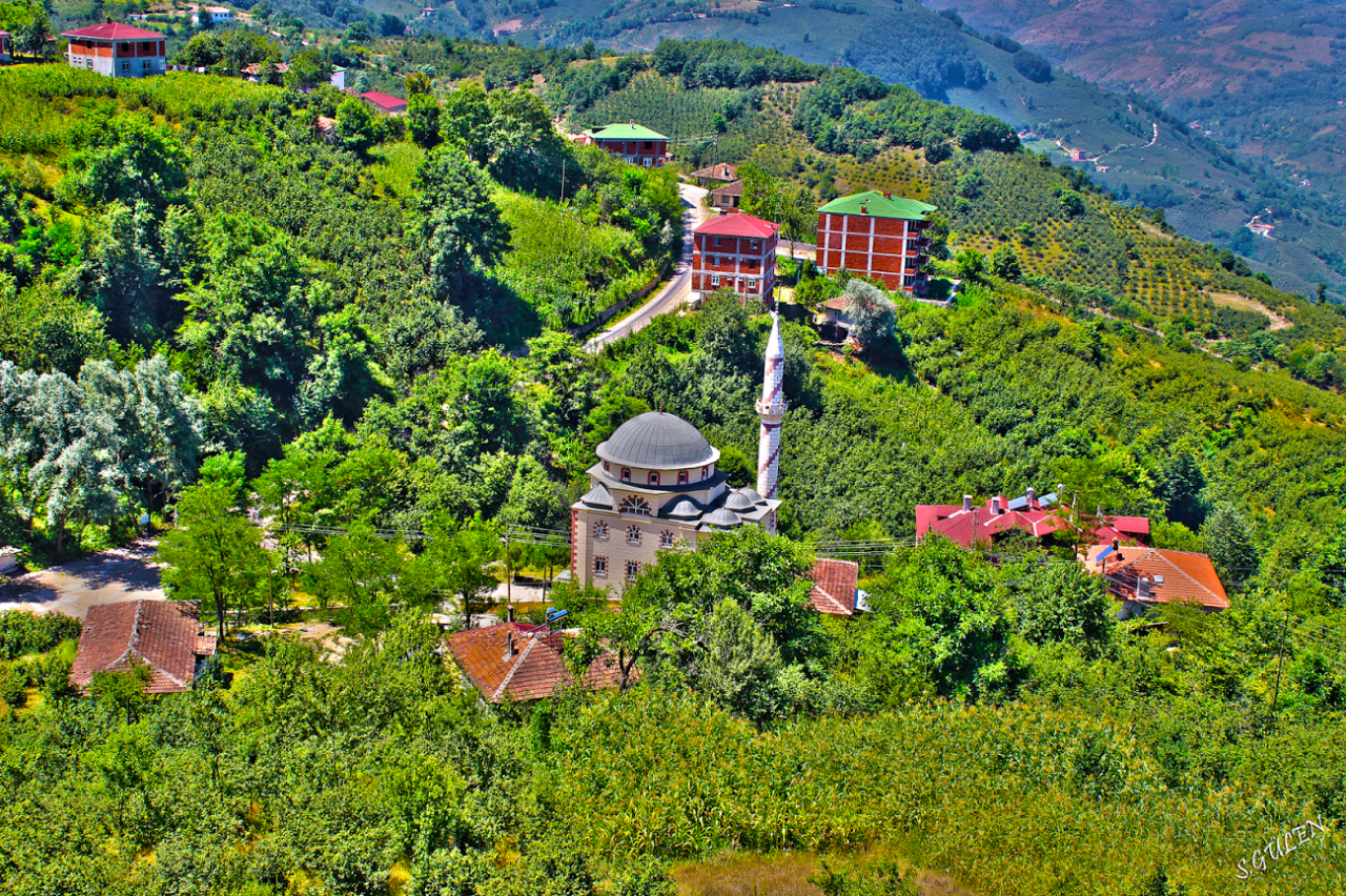 ORDU AYBASTI TEKERLEKLİ SANDALYE