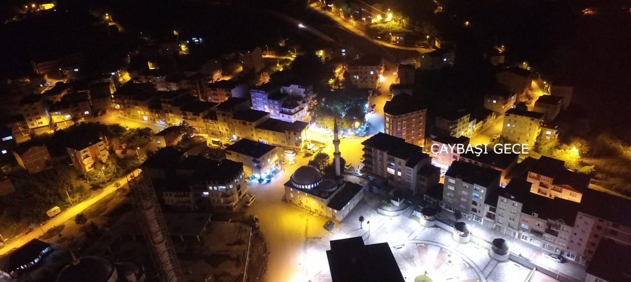 ORDU ÇAYBAŞI TEKERLEKLİ SANDALYE