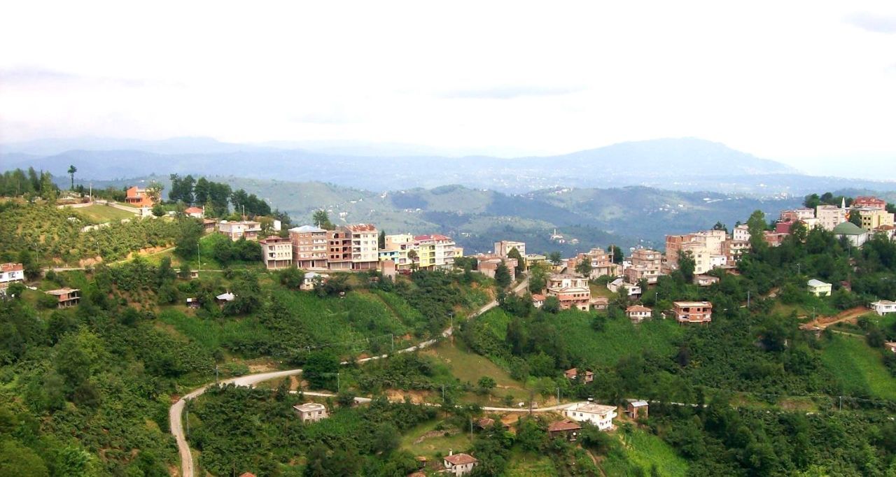 ORDU KABADÜZ TEKERLEKLİ SANDALYE