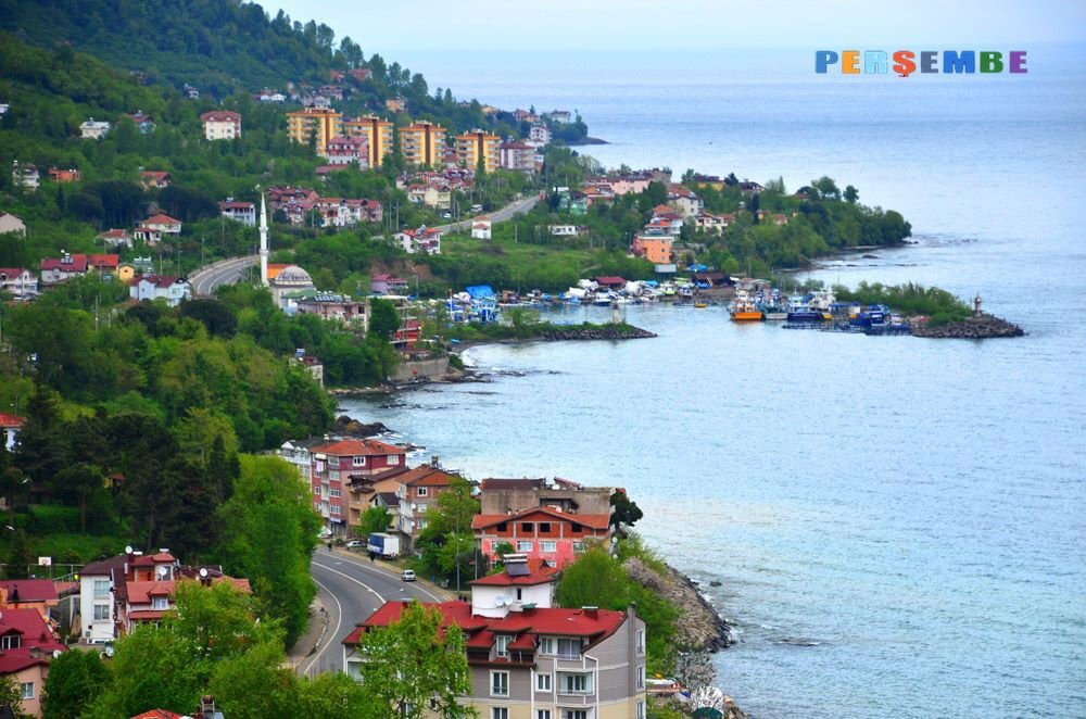 ORDU PERŞEMBE TEKERLEKLİ SANDALYE