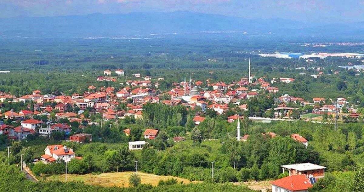 SAKARYA KARAPÜRÇEK TEKERLEKLİ SANDALYE