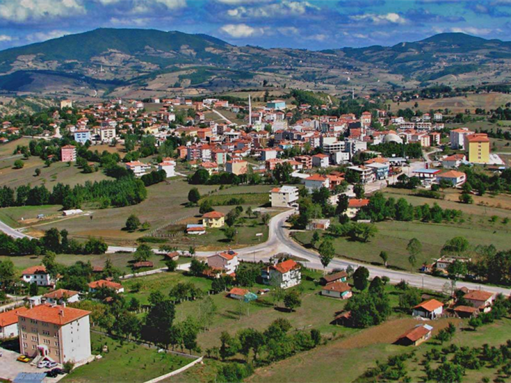 SAMSUN ASARCIK TEKERLEKLİ SANDALYE