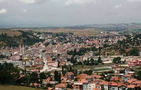 SAMSUN HAVZA TEKERLEKLİ SANDALYE