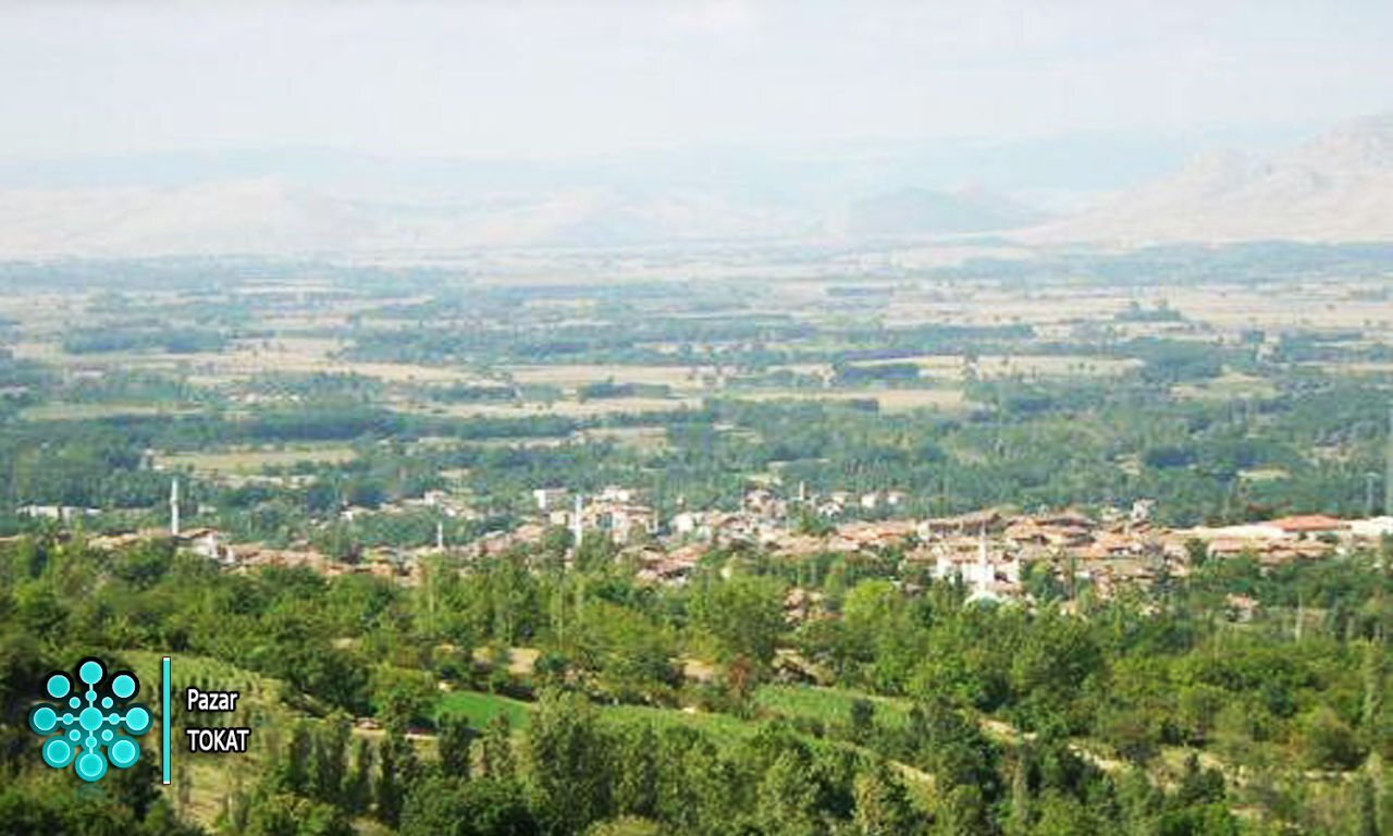 TOKAT PAZAR TEKERLEKLİ SANDALYE