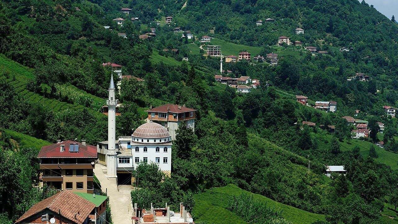 TRABZON OF TEKERLEKLİ SANDALYE