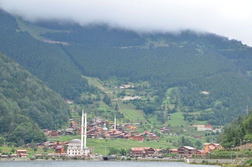 TRABZON SÜRMENE TEKERLEKLİ SANDALYE