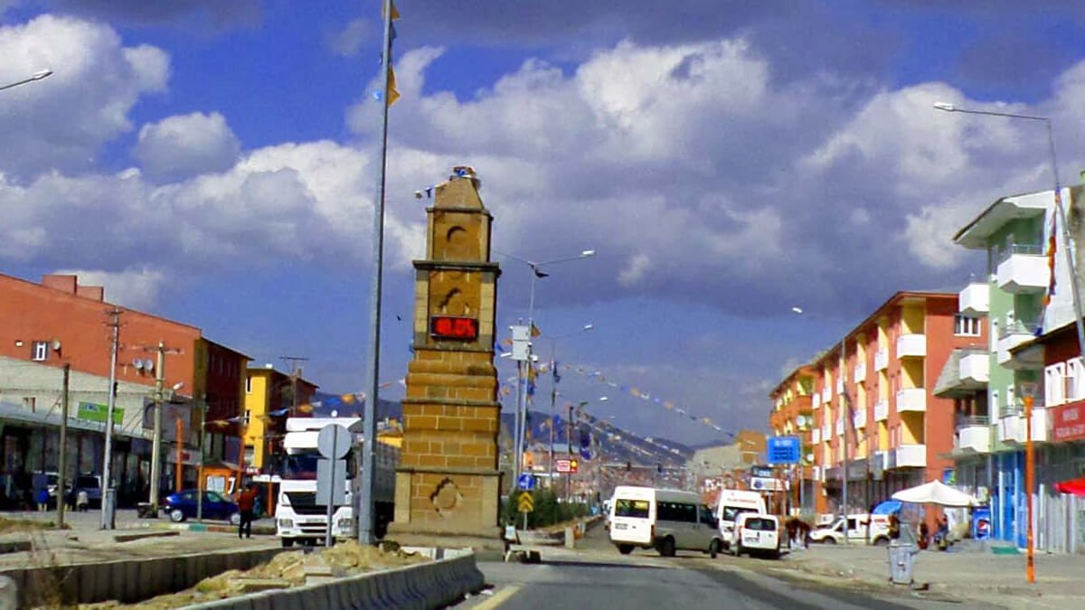 VAN ÇALDIRAN TEKERLEKLİ SANDALYE